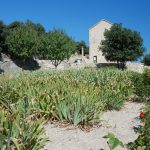 Notre Dame d'Aubune, septembre 2018