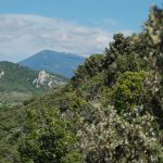 Autour de Notre Dame d'Aubune