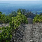 Notre Dame d'Aubune, septembre 2018