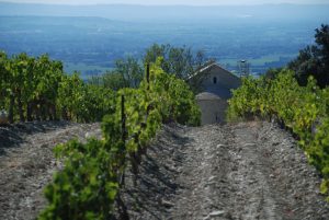 Notre Dame d'Aubune, septembre 2018