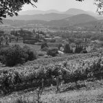 Roaix 2009 en noir et blanc