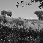 Roaix 2009 en noir et blanc