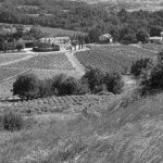 Roaix 2009 en noir et blanc