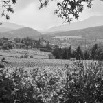 Roaix 2009 en noir et blanc