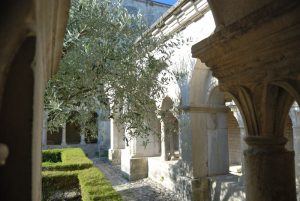 Cathédrale et cloitre - Vaison la romaine - 2018