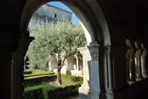 Cathédrale et cloitre - Vaison la romaine - 2018