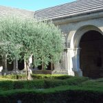 Cathédrale et cloitre - Vaison la romaine - 2018