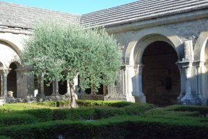 Cathédrale et cloitre - Vaison la romaine - 2018