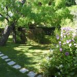 Gîtes les lavandes - Vaison la Romaine