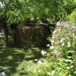 Gîtes les lavandes - Vaison la Romaine