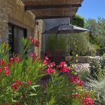 Gîtes les lavandes - Vaison la Romaine