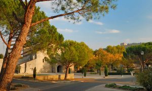 Cathédrale et Château - Vaison la Romaine