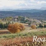 Roaix