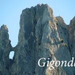 gigondas